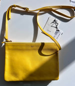 Load image into Gallery viewer, Celine Trio “Sun” crossbody purse
