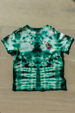 Load image into Gallery viewer, Ralph Lauren  &quot;Green Shorebreak&quot; crewneck T 2T
