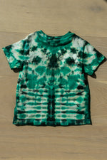 Load image into Gallery viewer, Ralph Lauren  &quot;Green Shorebreak&quot; crewneck T 2T
