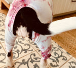 Load image into Gallery viewer, &quot;Mali-Blu&quot; Dog Pajama Onesie XS
